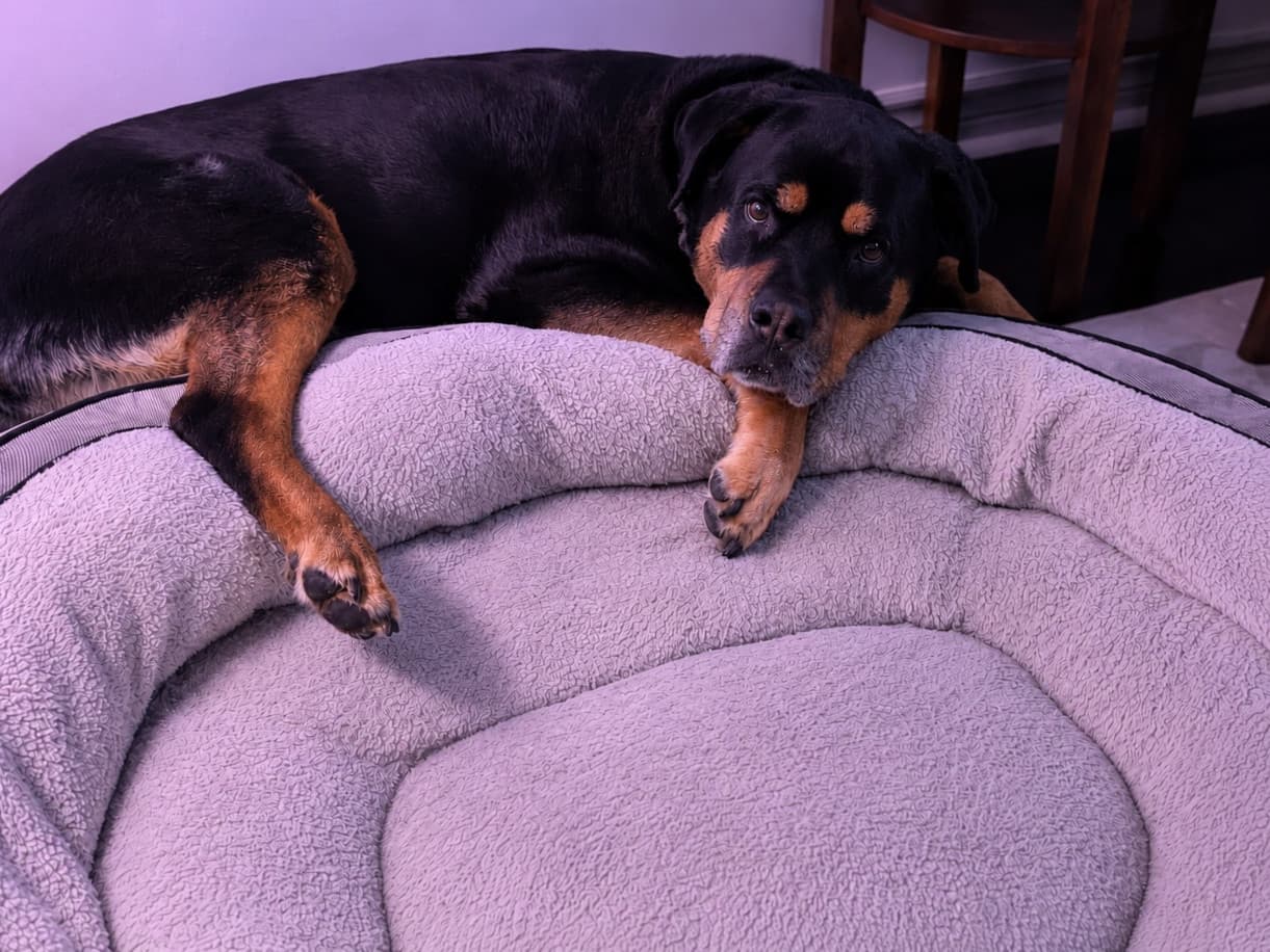 Harvey beside his bed